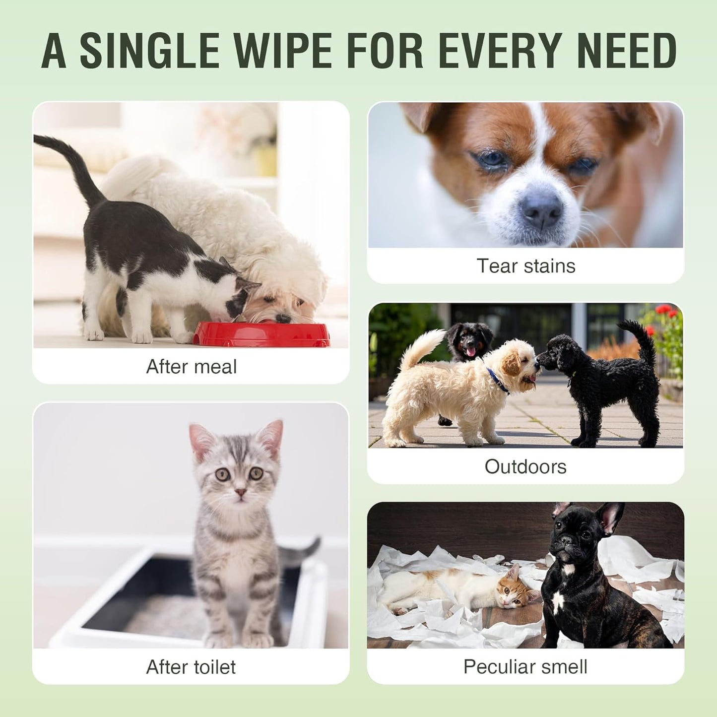 Pet Wipes -Cleaning and Grooming for All Pets, Alcohol-Free Portable Pack, Gentle for Face, Body, Paws and Butt-Thick Nonwoven Fabric-320 Count