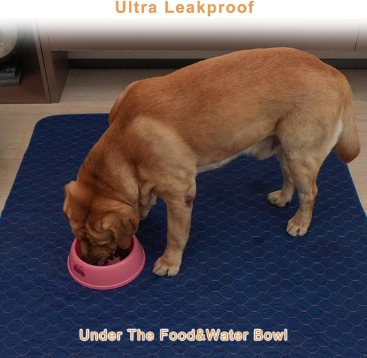 2Pack Washable Pee Pads for Dogs 18βx24β, Quick Dry Puppy Pads, Waterproof, Non Slip, Premium Reusable Dog Training Pads