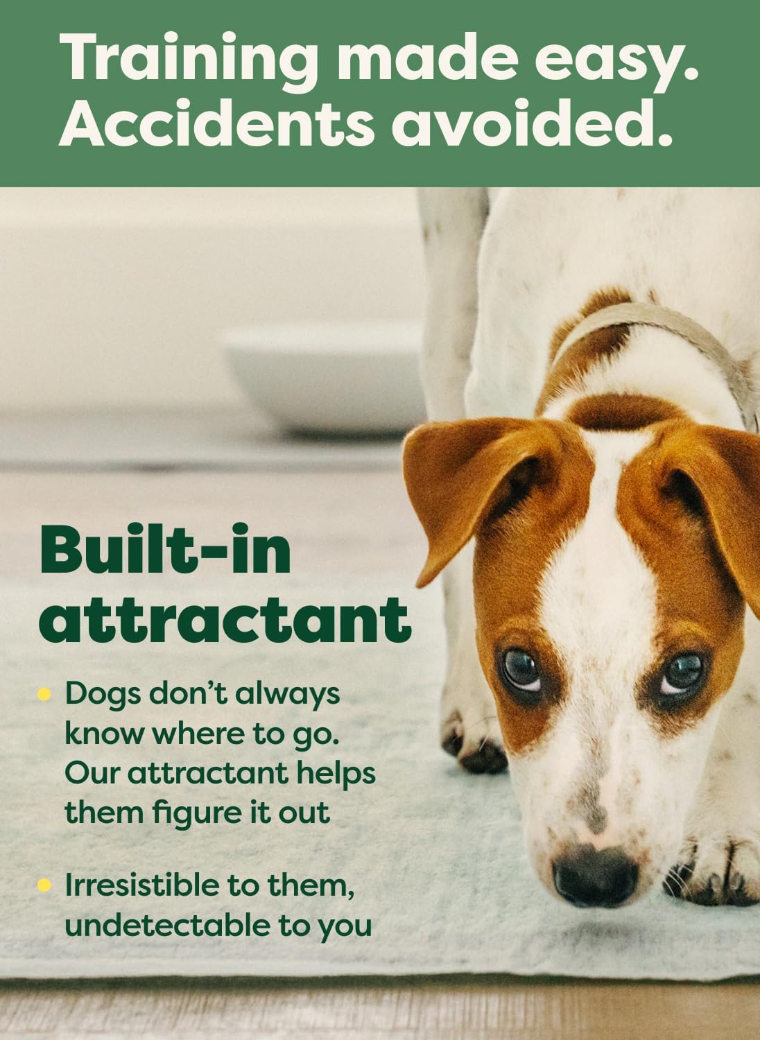 Earth Rated Max Absorbency Puppy Pee Pads for Dogs Absorbs 2X Faster & 2X More, Leak-Proof Odor-Free Potty Training Wee Wee Pad, Unscented, Large, 22” x 23”, 75 Count