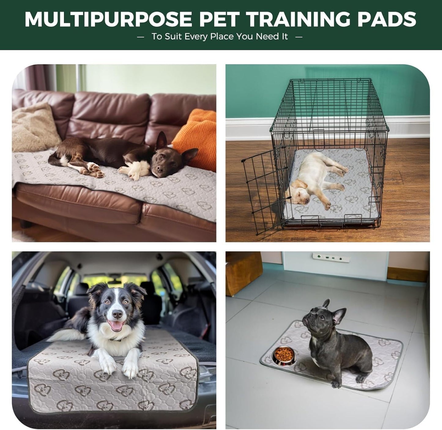 FXW Washable Pee Pads for Dogs, Puppy Pads with Super Absorbent, Specifically Designed for Potty Training, 35" Square, Khaki, 1 Pack