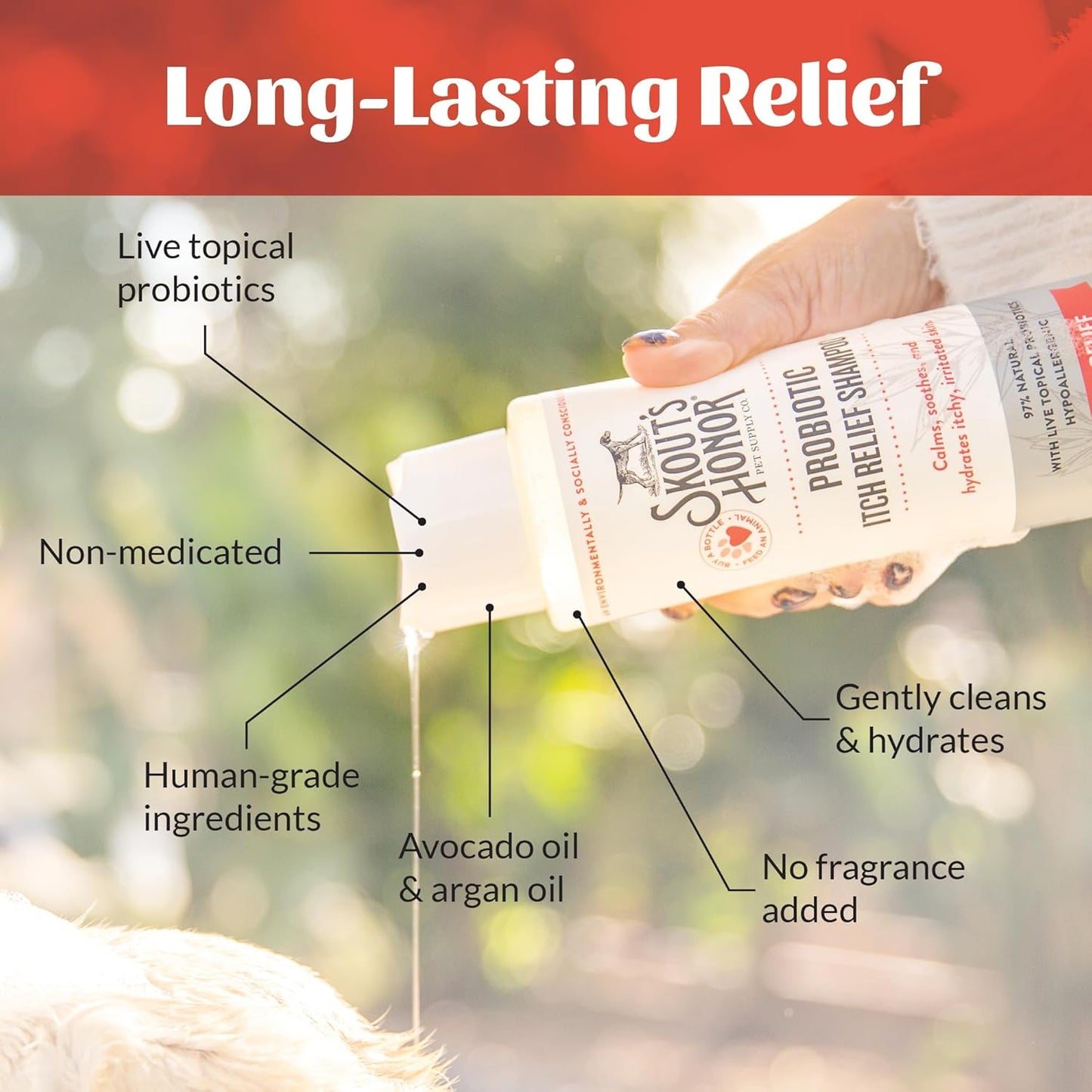 SKOUT'S HONOR Probiotic Itch Relief Shampoo for Pets - Non-Medicated, Fragrance-Free, Paraben & Sulfate-Free, with Avocado Oil & Omega 3's, 16 Fl Oz