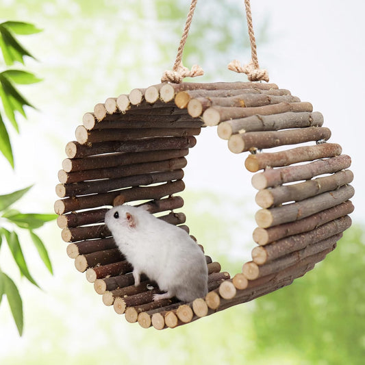 Bird Parrot Swing Toys, Hanging Bird Tree Caves, Natural Apple Wood Parrot Hammock, Bird Cage Accessories, Suitable for Little Bird Parakeets Cockatiels Lovebirds Hamster Rat (6.49" in Diameter)