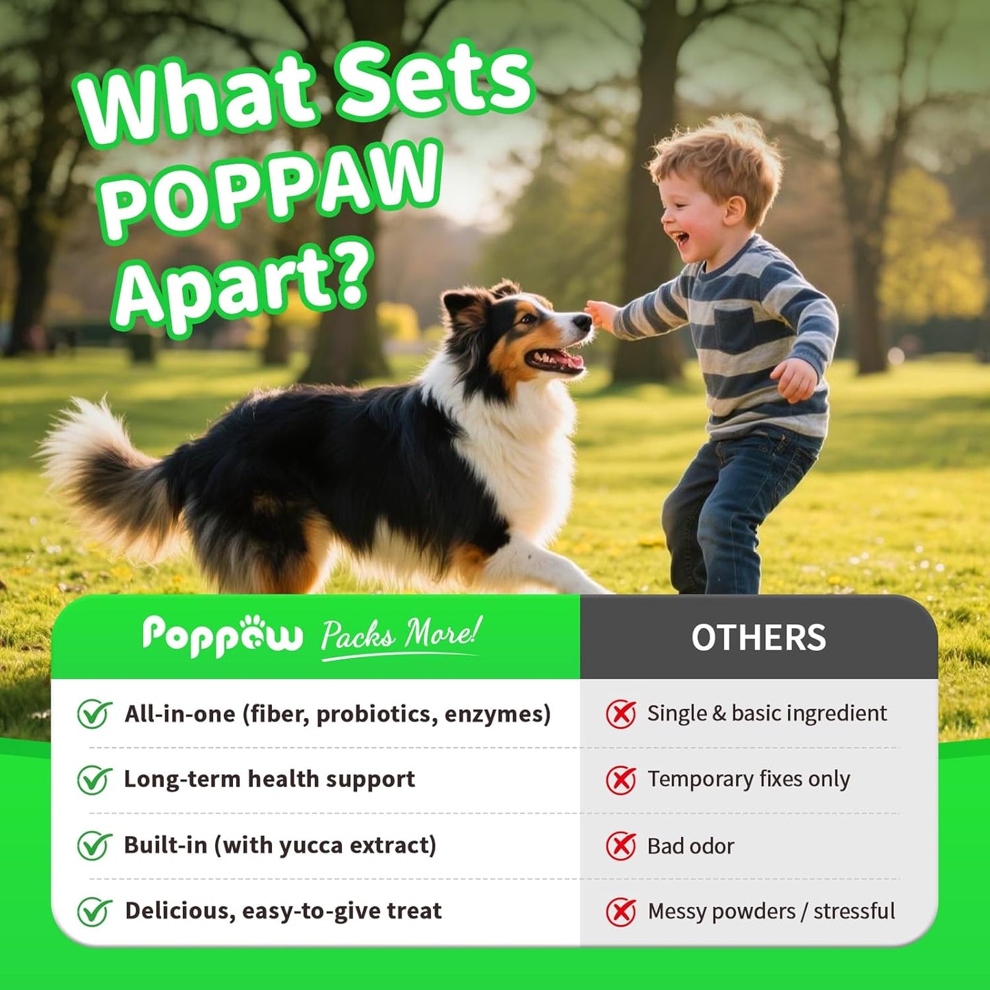 Dog Probiotics & Digestive Enzymes – Pumpkin Fiber Chews for Gut Health, Constipation& Upset Stomach Relief, Gas & Stool Support, Chicken Flavor Soft Chews – 90 Count