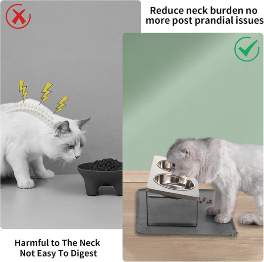 Upgraded Elevated Cat Bowls with Food Mat,15°Tilted Stand Anti Vomiting Raised Cat Dishes for Food and Water,2 Stainless Steel Bowls for Cats and Puppy(Gray)