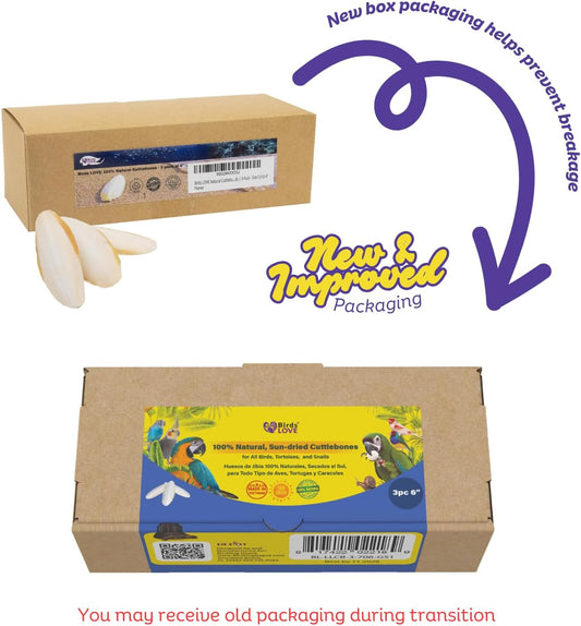 Birds LOVE Natural Cuttlebone | 100% Pure Sun-Dried Calcium Supplement for Birds, Tortoises, Snails & Crabs | Supports Beak & Shell Health | Easy to Chew | 3 Pack, Size 5.5 to 6"