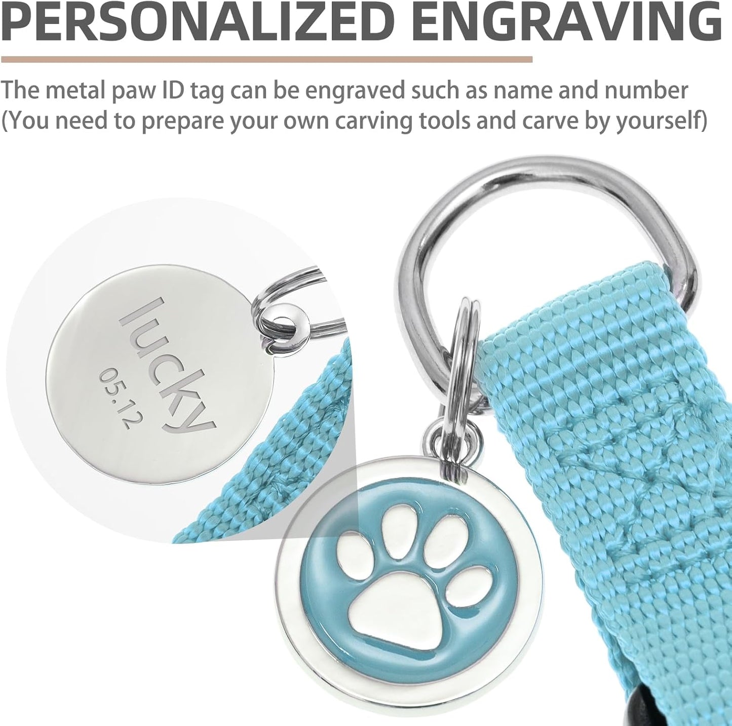 PUPTECK No Pull Dog Harness Soft Adjustable Basic Nylon Step in Puppy Vest Outdoor Walking with ID Tag and A-ir Tag Case, Sky Blue, L