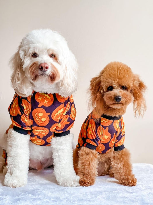 Fitwarm Halloween Pumpkin Dog Pajamas, Funny Dog Winter Clothes for Small Dogs Girl Boy, Pet Jumpsuit, Cat Halloween Costumes with Feet, Lightweight Velvet, Black, Orange, Large