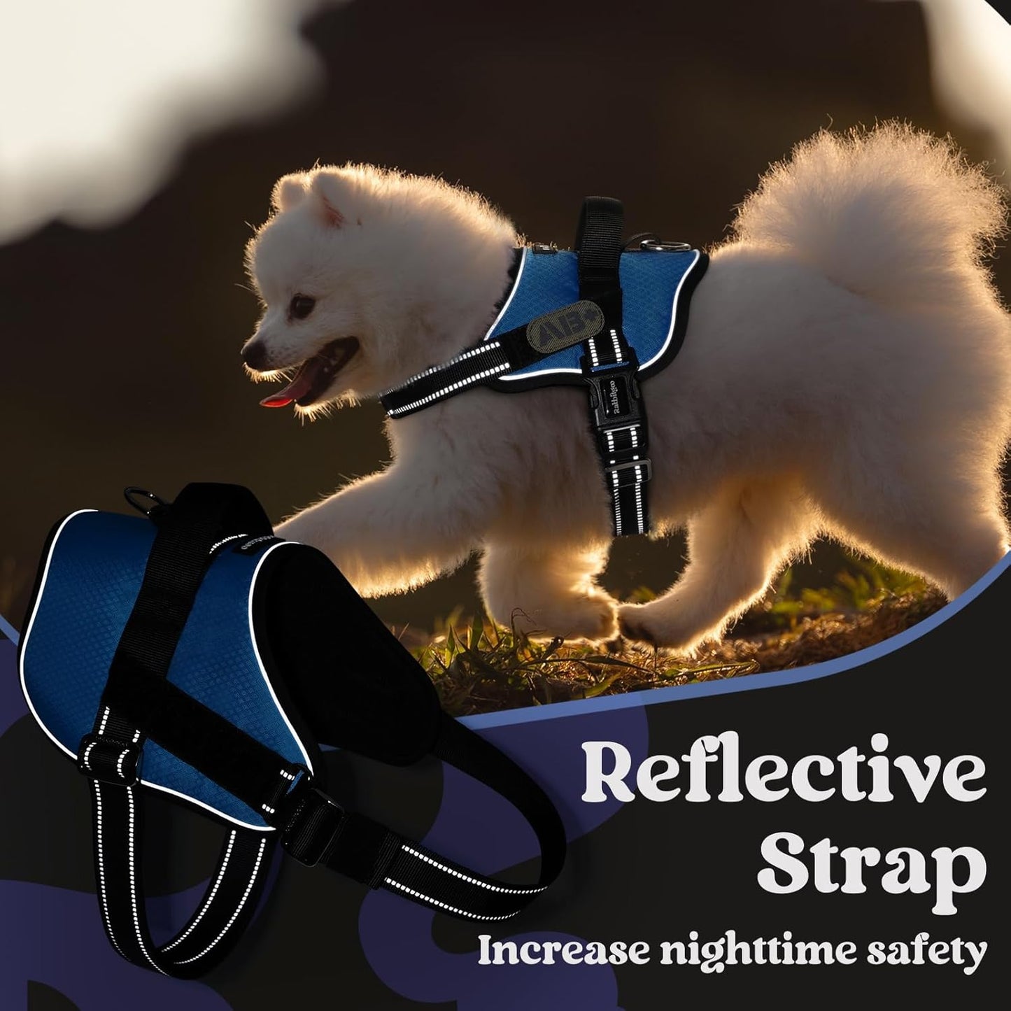 rabbitgoo Dog Harness for Small, Easy On Pet Vest with One Buckle, No Pull Adjustable Service Harness with D-Ring & Handle, Reflective for Safety Walking, Training, Blue, S