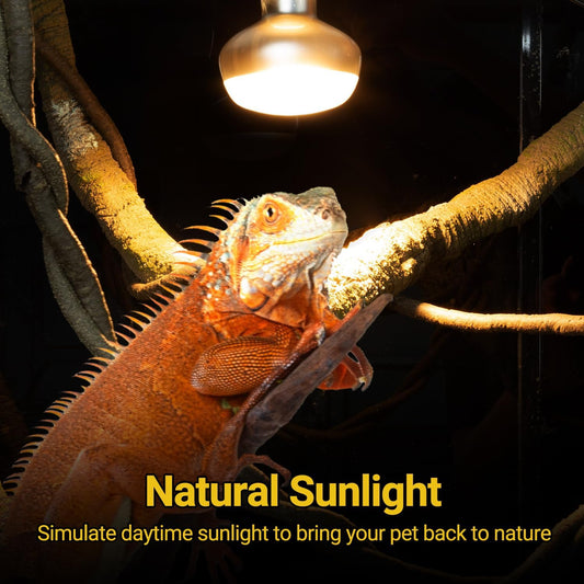REPTI ZOO 2 Pack Heat Lamp 150W, Intense Basking Spot Simulated Natural Sunlight Heating Lamp Bulb, Heat Emitter UVA Heat Lamp Bulb for Reptile Chickens Pet Brooder