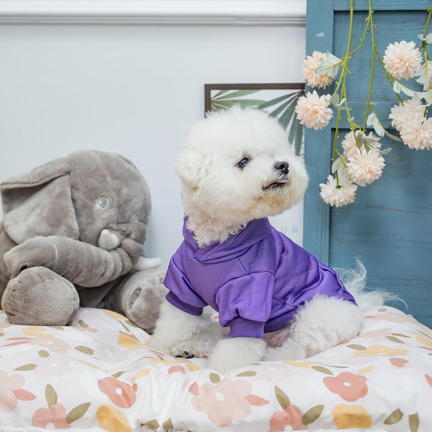 KOOLTAIL Basic Dog Hoodie - Soft & Warm Dog Hoodie Sweater with Leash Hole and Pocket, Dog Winter Coat, Cold Weather Clothes Sweatshirt for Small Medium Large Dogs Puppy Cat Boys Girls Purple SM