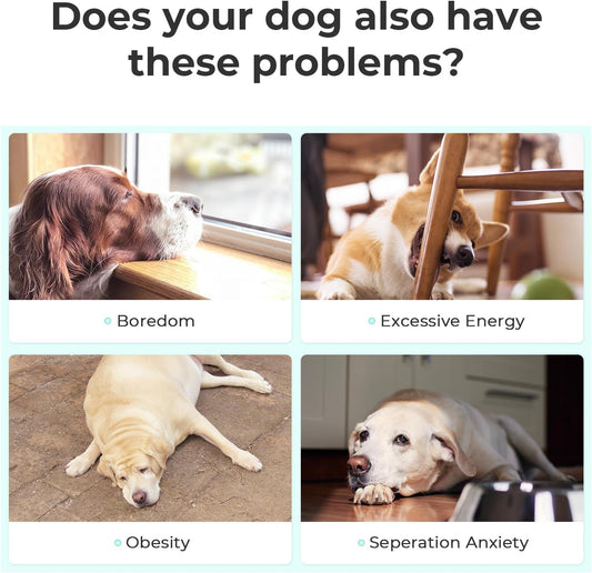 Interactive Dog Toys, Wicked Ball SE, 3 Interactive Modes,Enhanced Rubber Active Rolling Dog Toy with LED Lights for Small Medium Dogs, Motion-Activated Dog Stimulation Toy for Boredom Relief