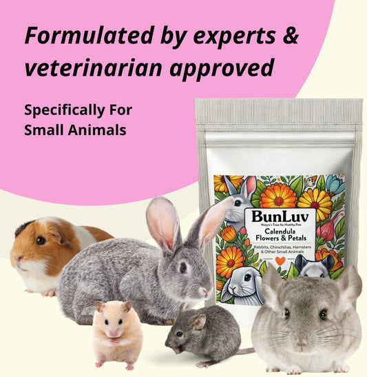 Pampered Chicken Mama Organic Dried Calendula Flowers for Small Animals | Chinchillas, Rabbits, Hamsters, Guinea Pigs | Natural Pet Food Supplement (8 Ounces)