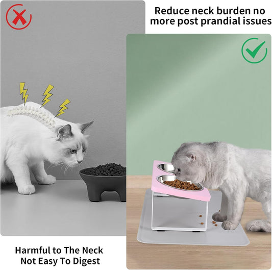 Upgraded Elevated Cat Bowls with Food Mat,15°Tilted Stand Anti Vomiting Raised Cat Dishes for Food and Water,2 Stainless Steel Bowls for Cats and Puppy(Pink)