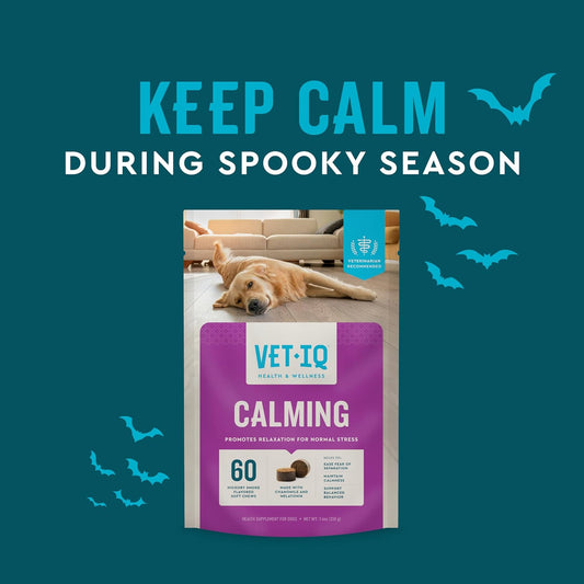 VetIQ Calming Support Supplement for Dogs, Calming Chews Help Manage Stress and Promote Relaxation, Anxiety Relief for Dogs, Made in The USA, 60 Count
