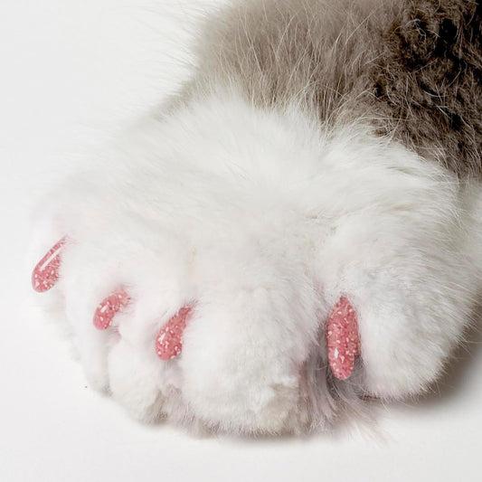 Soft Claws Cat Nail Caps for Small Catsโ(40 Caps, Pink Sparkle)-Made in USA-Veterinarian-Developed, Non-Toxic | Protects Furniture & Skin-Easy to Apply, Long-Lasting Anti-Scratch Soft Cat Claw Covers