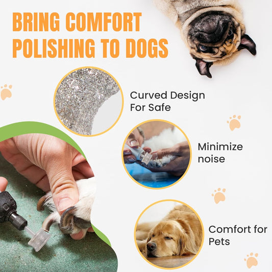 CAELUM Diamond-Coated Pet Nail Grinder Bit, 1/8” Shank for Dremel Nail Tools, Durable & Low-Noise Nail Trimmer for Dogs, Top & Side Grinding, Gentle, Precise Nail Grooming(80grit)