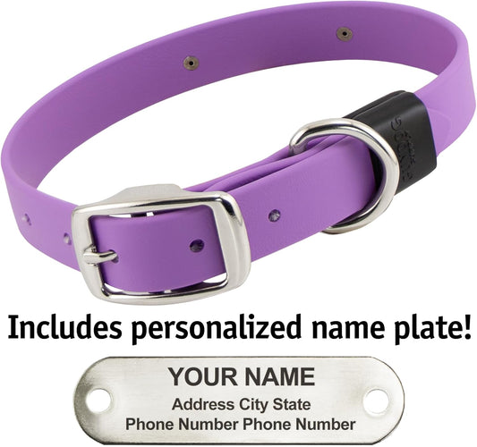 Biothane Custom Dog Collar β Waterproof, Stink-Proof Personalized Collar with Name & Phone Number β Durable, Many Sizes and Colors β Assembled in USA (Amethyst Purple)