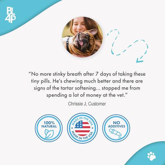 Dog Bad Breath Treatment & Dog Dental Care Solution, Natural Supplement for Canine Oral Health, Canine Tooth Pain Relief, Plaque Control, Gum Disease, Gingivitis, 400 Odorless, Tasteless Pills