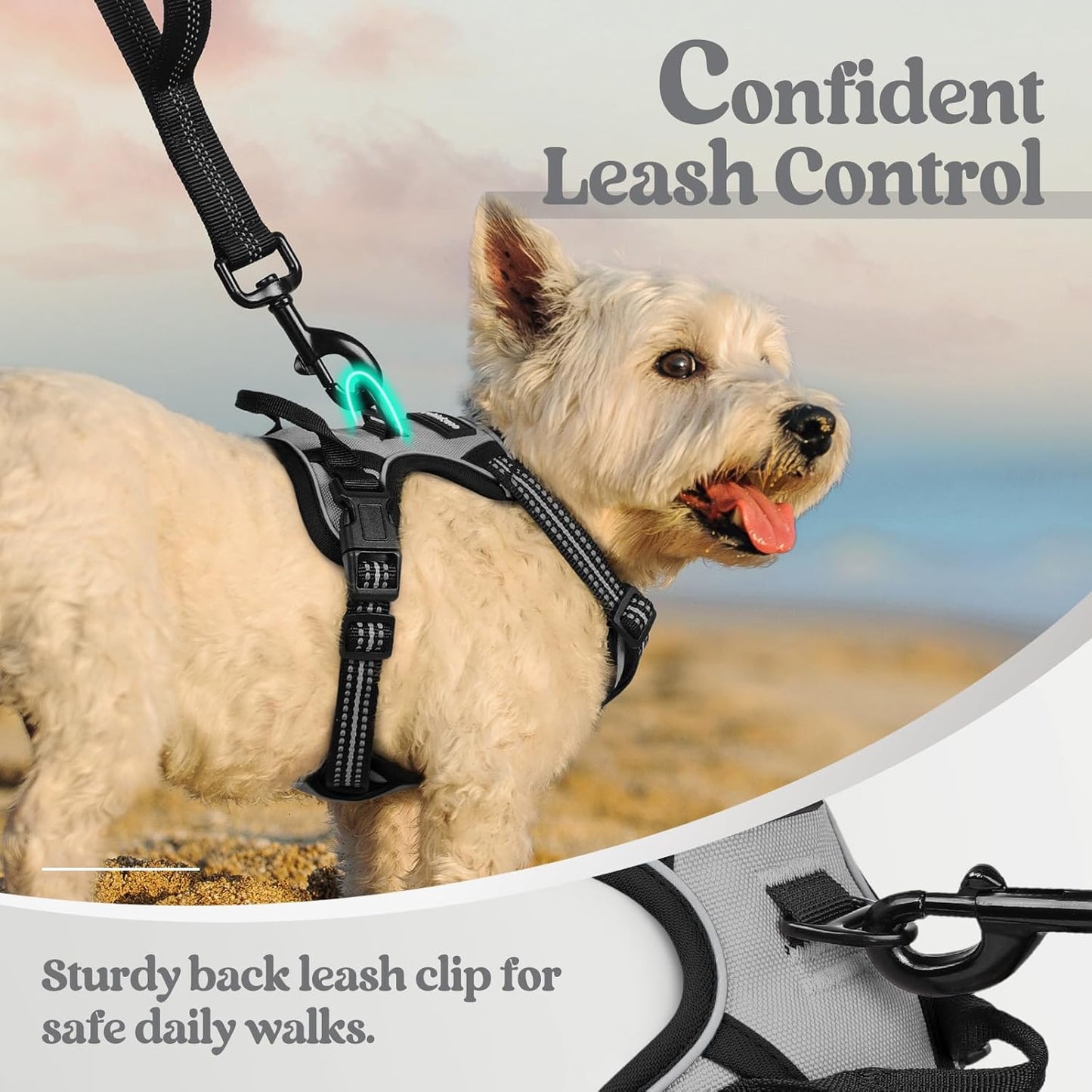 rabbitgoo Dog Harness No Pull with 2 Leash Clips, Adjustable Soft Padded, Reflective Oxford No Choke Pet Vest with Easy Control Handle for Puppy, Grey, XS