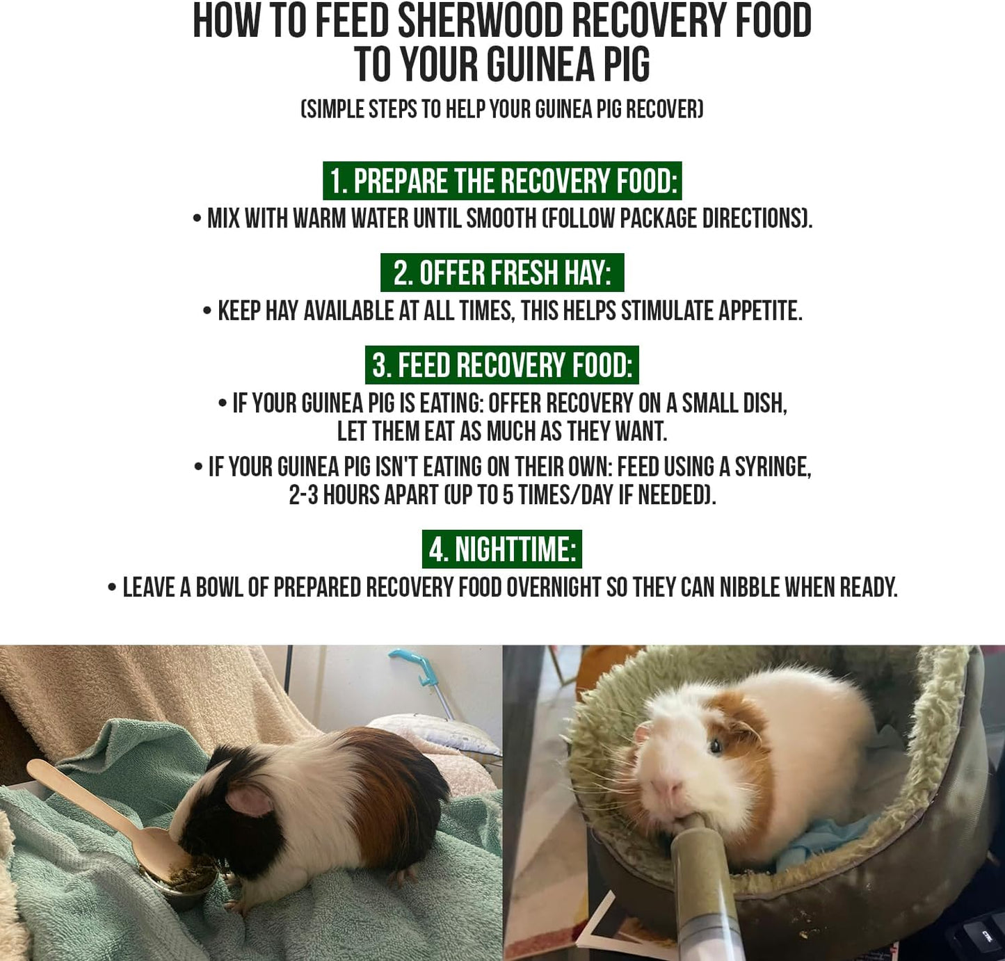 Sherwood Pet Health Guinea Pig Emergency Kit (Small) with Timothy Recovery Food and Appetite Restore in Stay-Fresh Packets