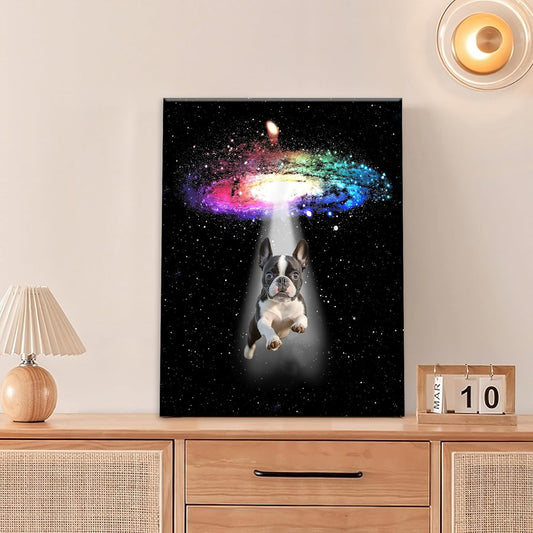 Funny Dog Wall Art Canvas Boston Terrier Wall Decor Prints Framed Painting Bulldog Galaxy Pictures Gifts Artwork for Bathroom 16"x20"