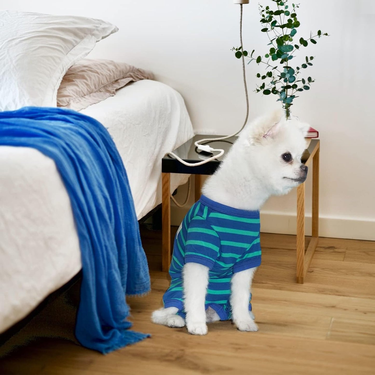 TONY HOBY Dog Pajamas for Medium Small Dogs, Dog Jumpsuit with Stripes 4 Legged Pajamas, Soft Dogs Pet Clothes (Blue&Green, Girl,M)