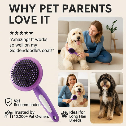 Round Bristle Pet Brush for Dogs and Cats - Soft Dog Brush for Grooming Short or Long Hair - Gentle Tool for Sensitive Skin Removes Dander, Dirt, and Detangles (Purple)
