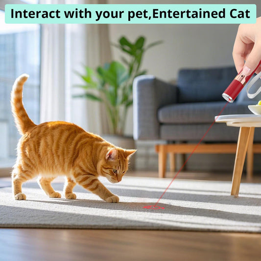 TBTeek Cat Toys for Indoor Cats, 2 Pieces, Rechargeable, 7 Adjustable Patterns, Interactive Kitten Pet Dog Chase Toy for Cats Fun Playing Exercise(Red)