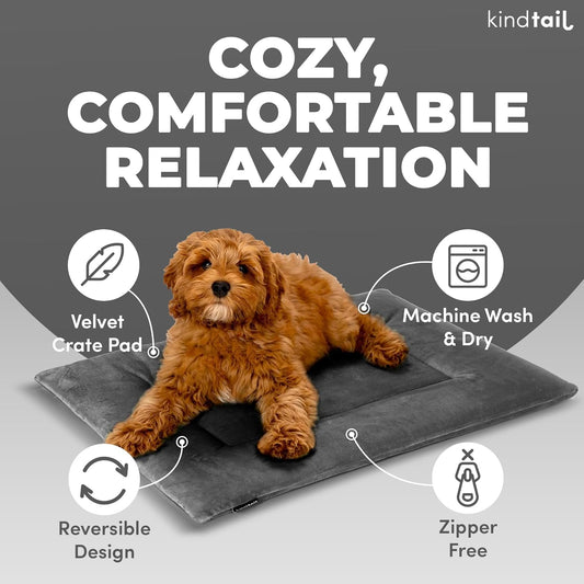 KindTail Dog Crate Pad - Soft Velvet, Reversible Bed - Machine Washable Kennel Mat for Pets up to 15 lbs, Mattress for Cozy Sleeping - 20β x 15β x 1β (Light Grey, Small)