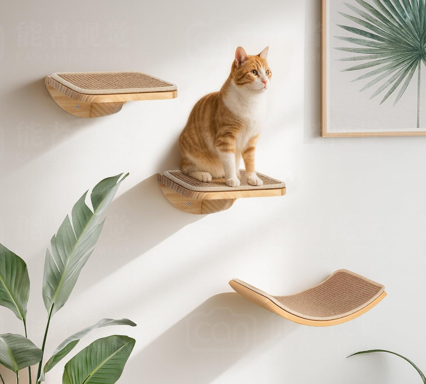 Wood Cat Wall Bed with Sisal Mat – Curved Cats Shelf for Scratching and Sleeping, Wall Mounted Cat Furniture for Large Cats