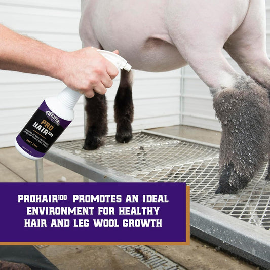 Weaver Leather Livestock Winner's Brand Pro Hair100 Shampoo, 1 Gallon