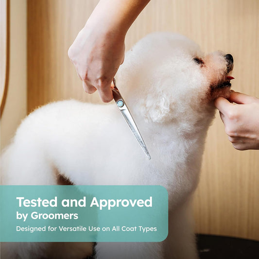 8” Dog Grooming Scissors|VG10 Japanese Steel Professional Pet Grooming Shears for Cats & Dogs|Clean Cut & Precise Trimming|Lightweight Ergonomic Handcrafted Design|K9 Shears