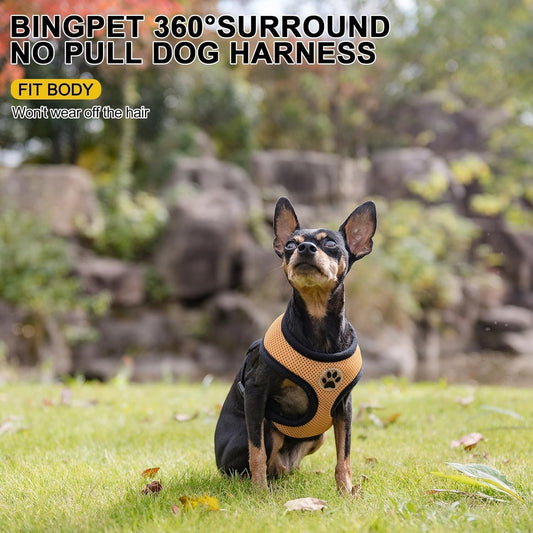 BINGPET No Pull Dog Harness,Soft Mesh Breathable All Weather Vest Harness,Safety Protection Design Durable Adjustable Step-in Easy Walk Dog Harness for Small Medium Large Dogs(Beige,XS)