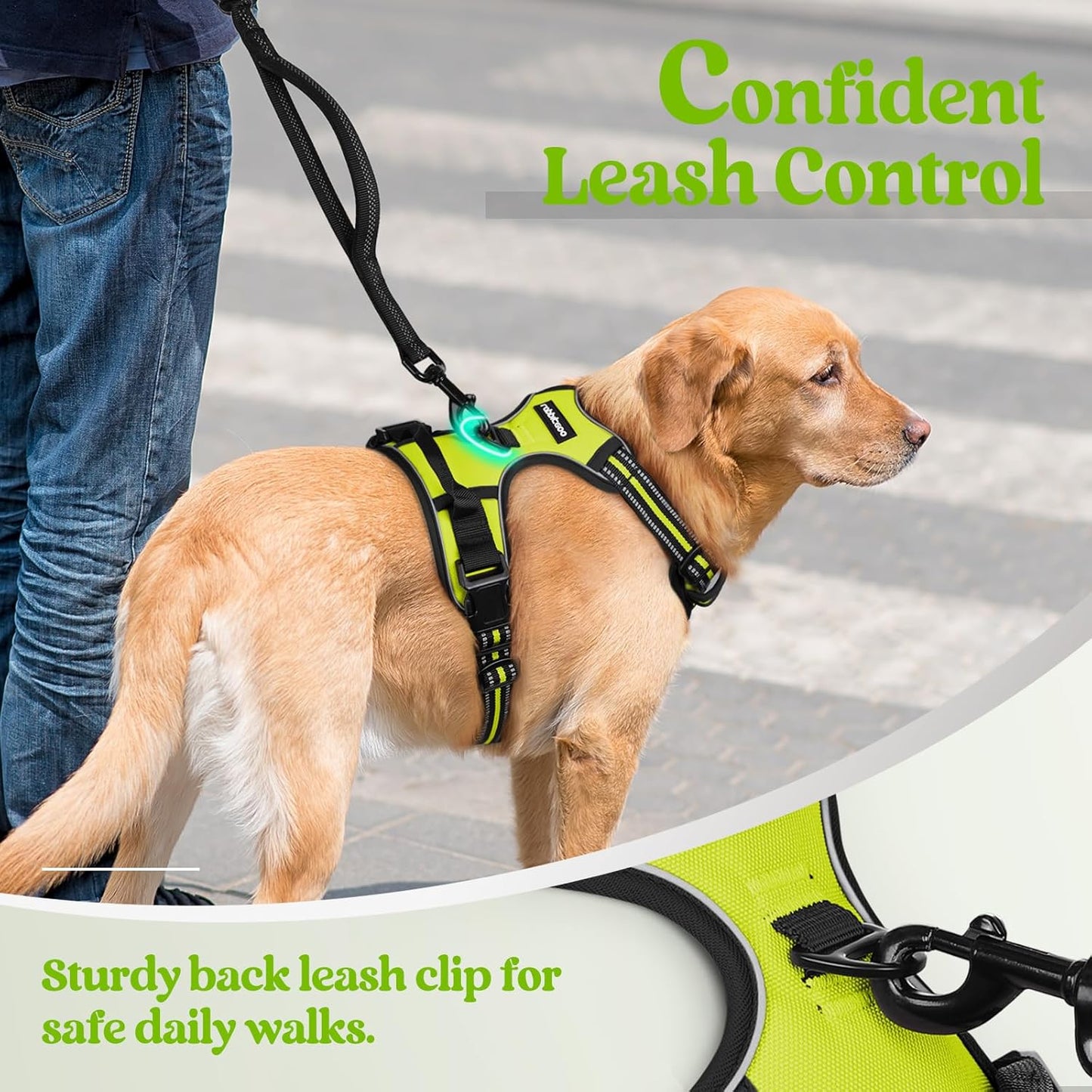rabbitgoo Dog Harness No Pull with 2 Leash Clips, Adjustable Soft Padded, Reflective Oxford No Choke Pet Vest with Easy Control Handle for Large Dogs, Green, XL