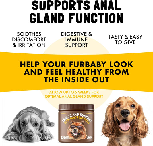 LEGITPET Anal Gland Relief Chews for Dogs Fiber & Digestive Support Supplement Soft Treats for Healthy Bowel & Gland Function Helps Reduce Scooting Promotes Dog Health & Comfort 120 pcs