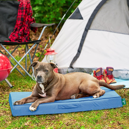 FurHaven Cooling Dog Bed β Large Foam Mattress for Joint Pain Relief, Waterproof Liner, Removable Washable Cover, Durable for Outdoor Use, Deluxe Grid Indoor/Outdoor Bed β Blue, Large