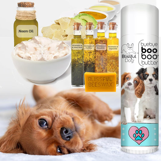 The Blissful Dog .50 oz Tube Cavalier King Charles Spaniel Booboo Butter