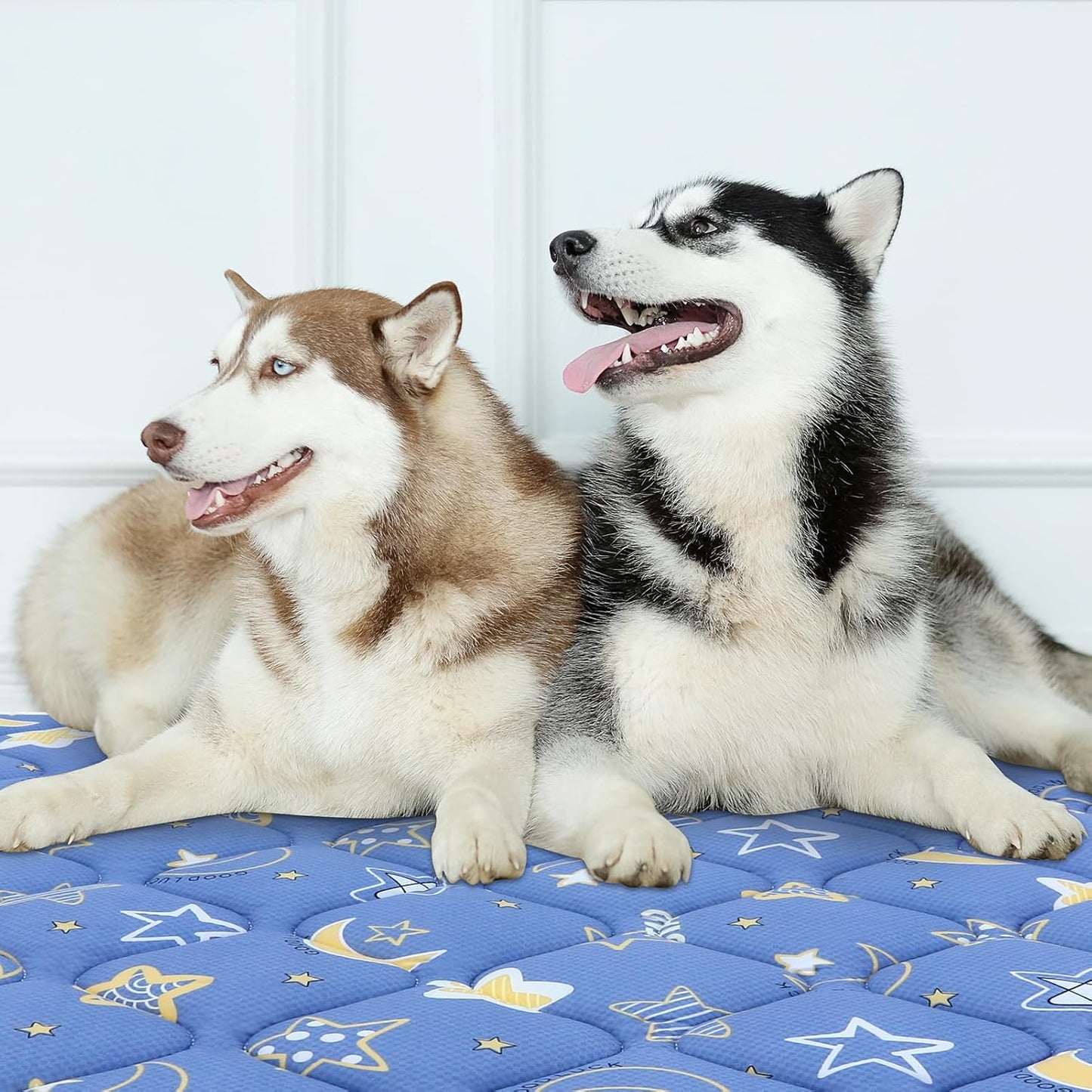 Bubble bear Dog Crate Mat - Ultra Soft, Washable & Anti-Slip Kennel Pad for Small/Medium/Large Dogs, Dark-Hued to Hide Stains (36"x23")