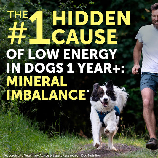 Nature's Protection Dog Joint Supplement - Mineral Powder Supplement for Pet Muscle Recovery, Stronger Bones, Immune & Gut Health for Dogs & Cats of All Breeds, 9 Oz