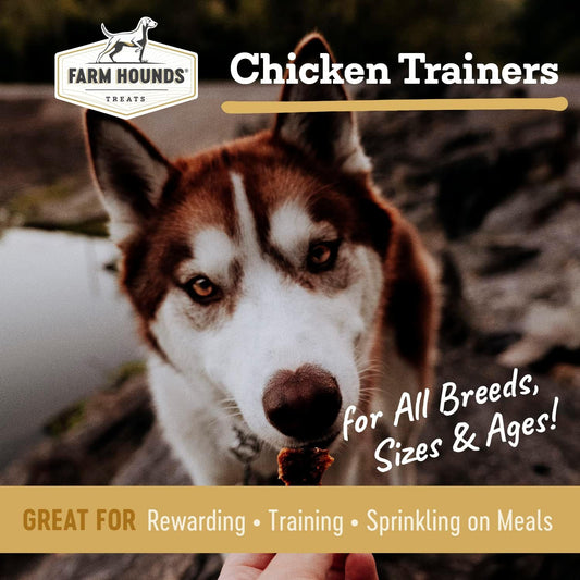 Farm Hounds - Chicken Trainers - Premium Natural Jerky for Dogs - 100% Humanely Raised Chicken - Easy-Break - Great for Training & Treats - No Added Fillers - Made in USA - 4.5oz - 1 Pack