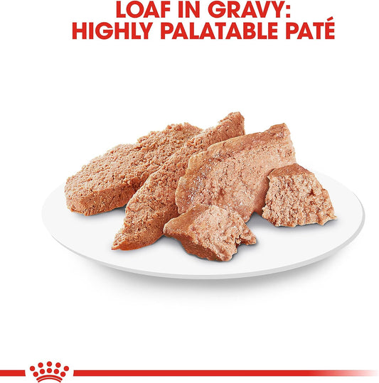 Royal Canin® Feline Breed Nutrition⢠Persian Adult Loaf in Sauce Canned Cat Food, 3 oz, 24-Pack