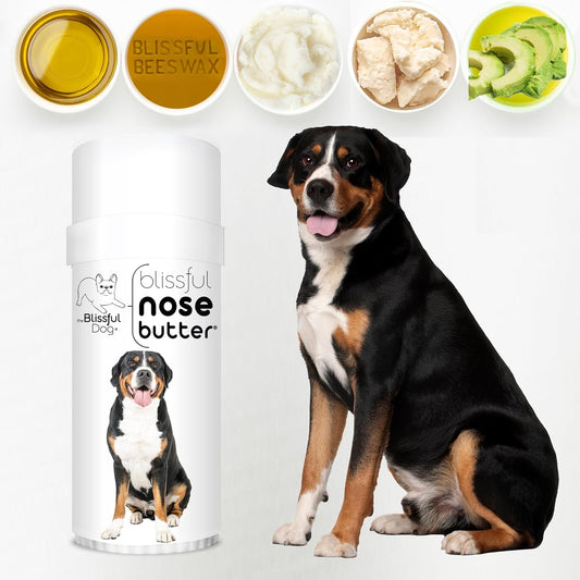 The Blissful Dog Greater Swiss Mountain Dog Unscented Nose Butter