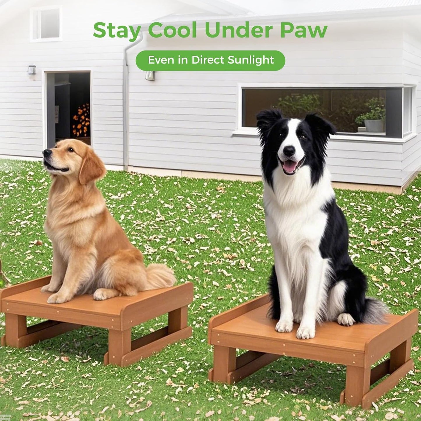 Wooden Dog Training Platform and Agility System, Durable Pet Training System for Place, Agility, & Steadiness Training for Indoor or Outdoor Use