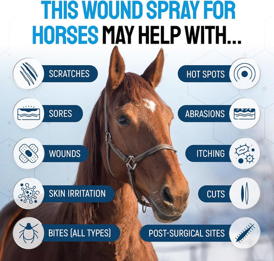 Horse Wound Care Spray with Silver β Wounds, Scratches, Cuts, Abrasions, Itching, Hot Spots, Skin Irritation β First Aid Solution and Breeds β 4 Oz