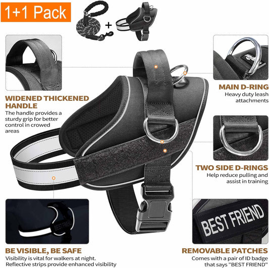 Haapaw Essential Dog Harness, No Pull Pet Vest with 3 Leash Clips, No Choke, Reflective, Adjustable and Padded, for Easy Walking and Training for Small Dogs(S, Black)