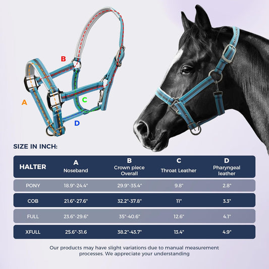 JWODVNTH Adjustable Horse Halter with PP Webbing, Durable Horse Halters with Zinc Alloy Hardware, Horses Training Equipment to Prevent Friction for Training, Competitions & Daily
