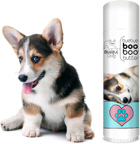 The Blissful Dog .50 oz Tube Corgi Booboo Butter