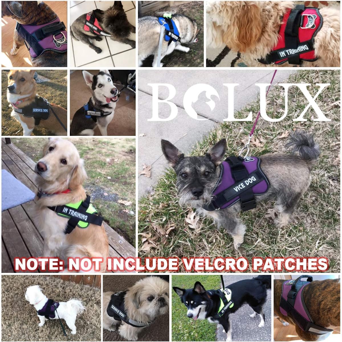 Bolux Dog Harness, No-Pull Reflective Dog Vest, Breathable Adjustable Pet Harness with Handle for Outdoor Walking - No More Pulling, Tugging or Choking (Pink, S)