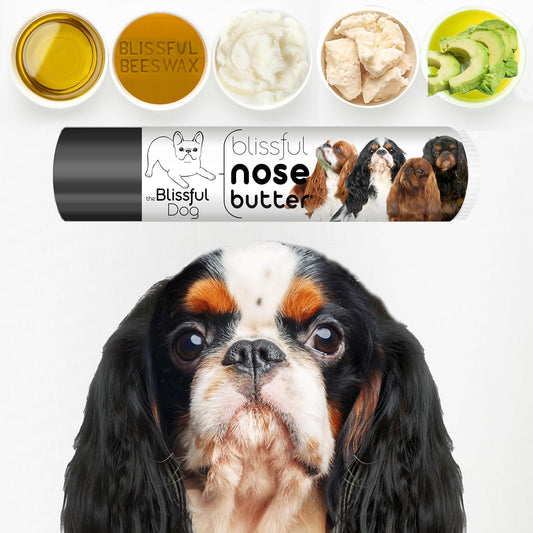 The Blissful Dog English Toy Spaniel Unscented Nose Butter