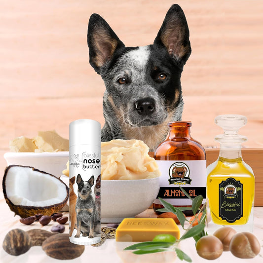The Blissful Dog Australian Cattle Dog Unscented Nose Butter - Dog Nose Butter, 0.50 Ounce